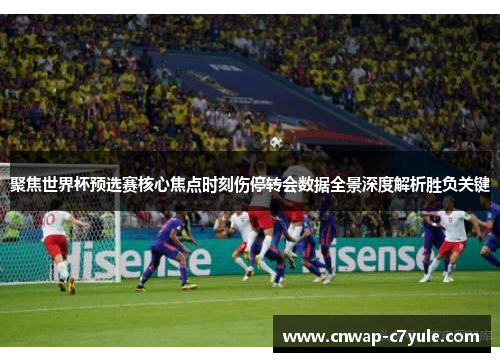 聚焦世界杯预选赛核心焦点时刻伤停转会数据全景深度解析胜负关键
