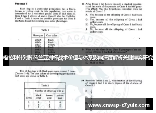 格拉利什对阵荷兰亚洲杯战术价值与体系影响深度解析关键博弈研究